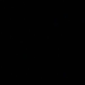 Meet your Posher, Eden